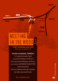 Meeting in the wood 3. Le samedi 5 septembre 2015 à Nancy. Meurthe-et-Moselle.  21H00